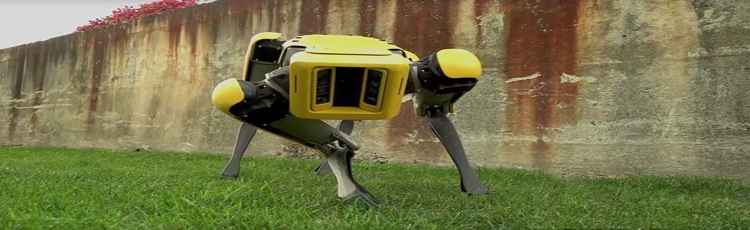 Boston Dynamics Robot Dog’s New Look
