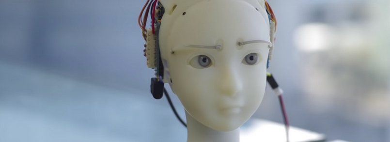 Simulative Emotional Expression Robot (SEER): A Cute Humanoid Face