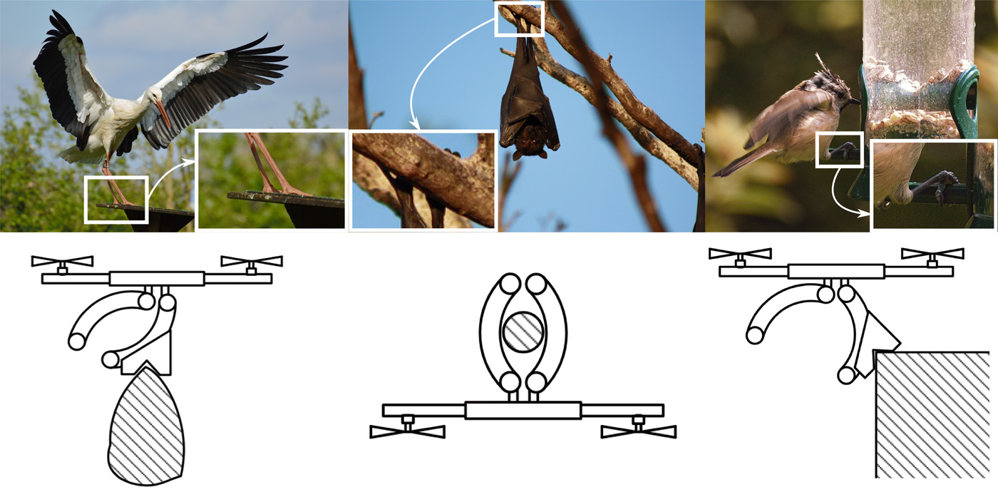 Bird-like Claws Let Latest Drones to Perch and Hang on in the air Well